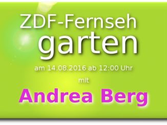zdf fernsehgarten am 14.08.2016 mit andrea Berg